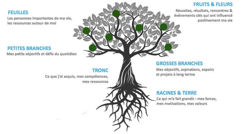 dessin arbre de vie avec objectifs de vie