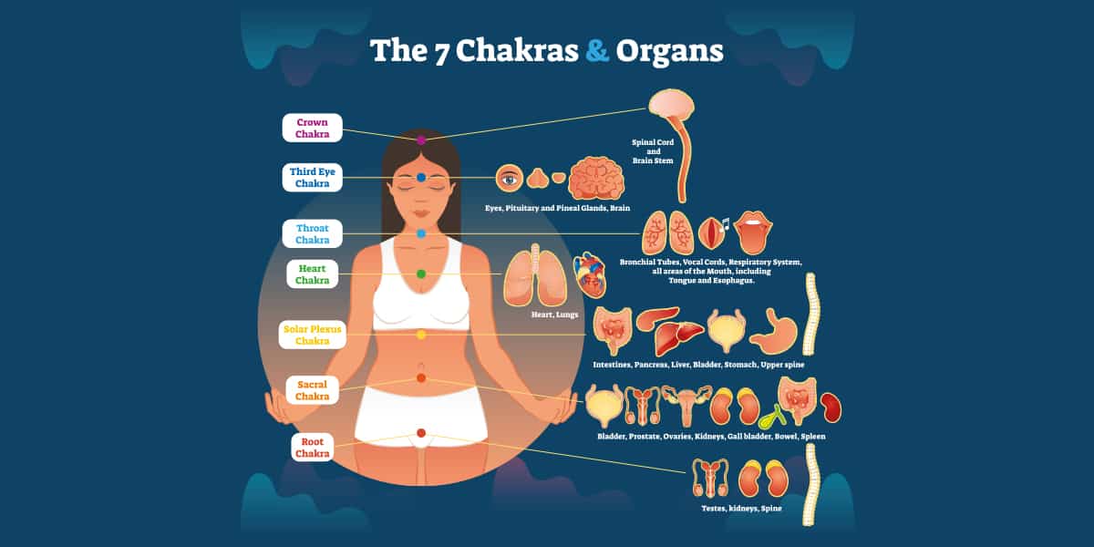 Lire la suite à propos de l’article Les 7 chakras expliqués (le guide ultime)