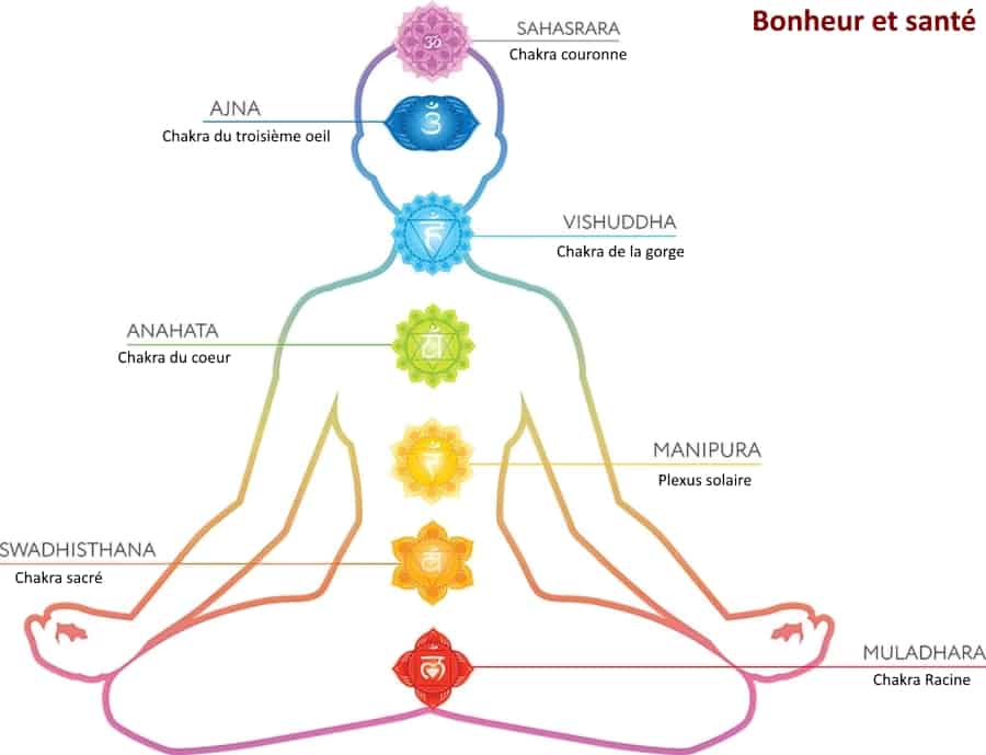 chakras2