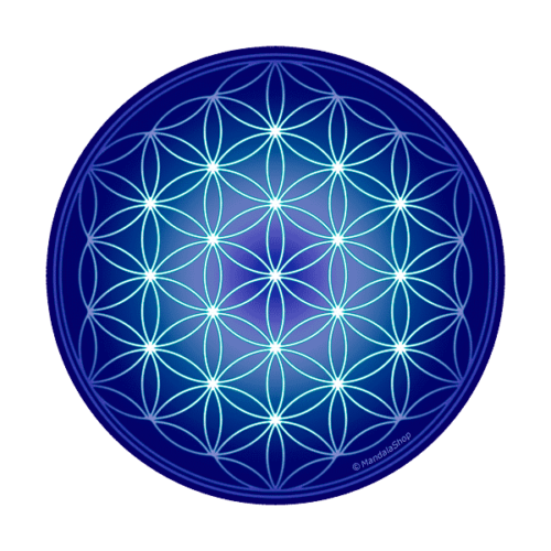 Signification Fleur De Vie